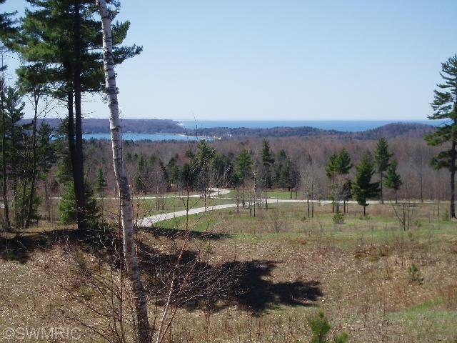 Primary Photo