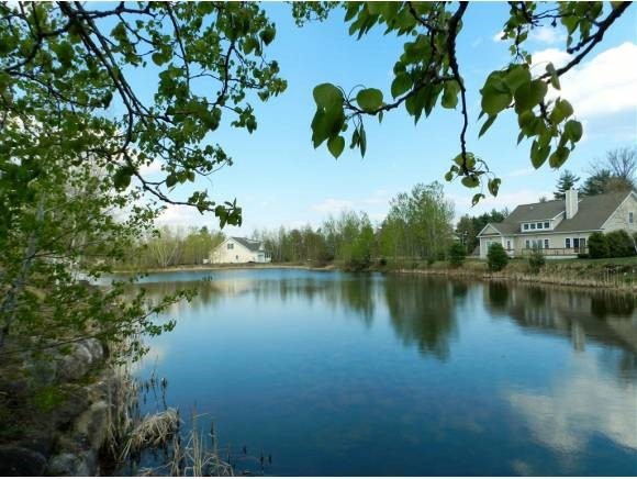 VIEW FROM DREAM LOT