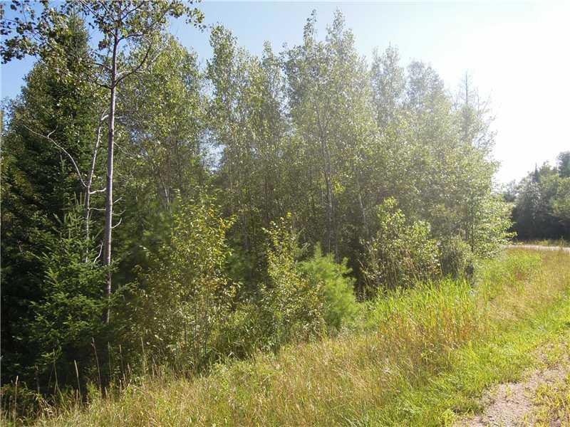 Land/Lot