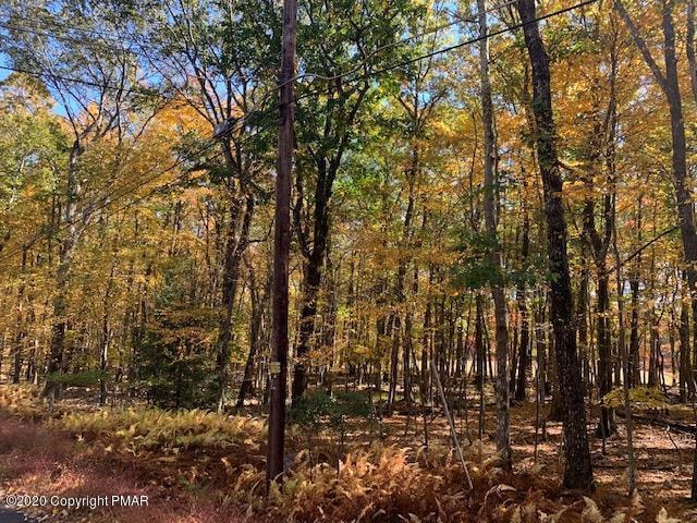 Lot A129A Broad Mountain View Dr, Jim Thorpe, PA 18229 - photo 1