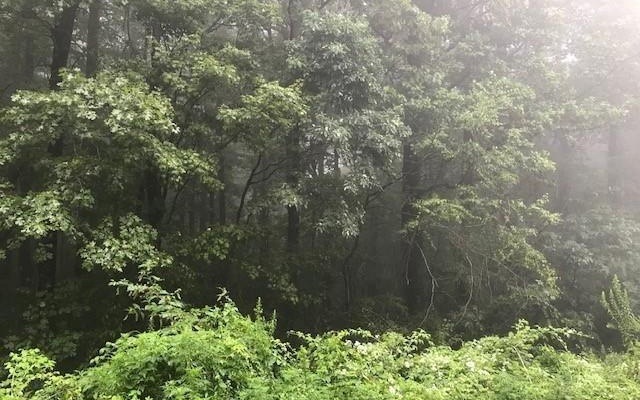 0 Burnt Mountain Rd unit 321096, Ellijay, GA 30536 - photo 1