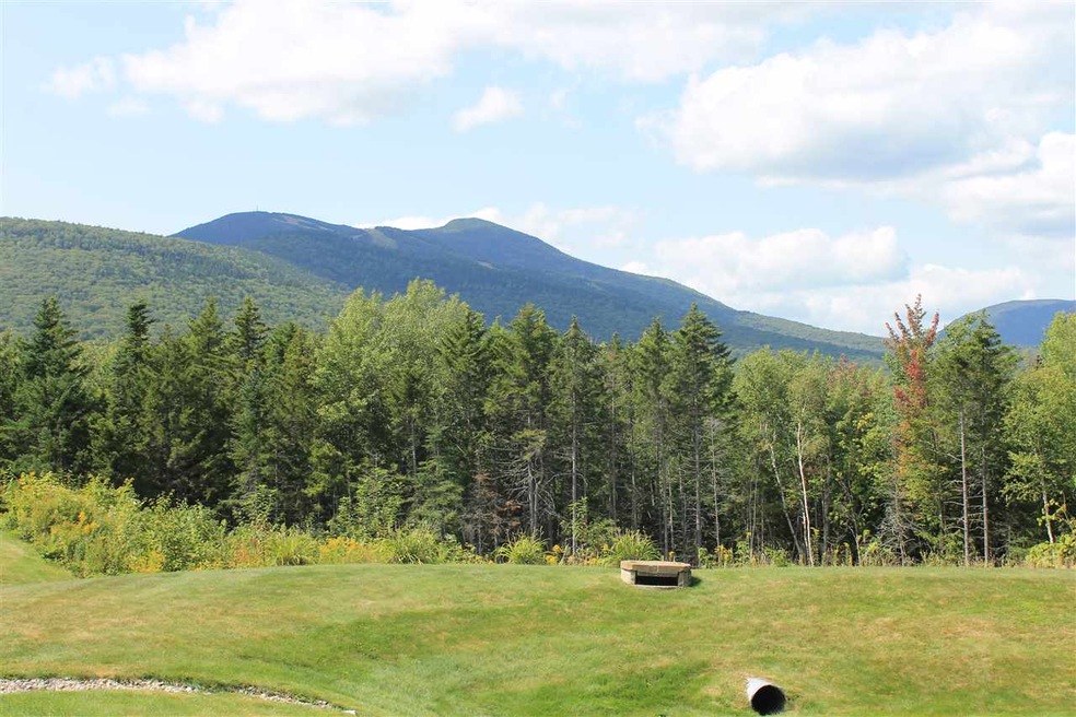 92 Noon Peak Rd unit D-1, Waterville Valley, NH 03215 - photo 1