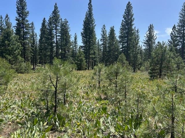 For Sale $39,000 • Co-Listing Agent