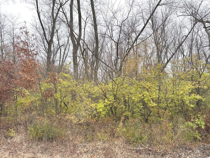 4047 Foxwood Dr, Limestone Township, IL 60901 - photo 1