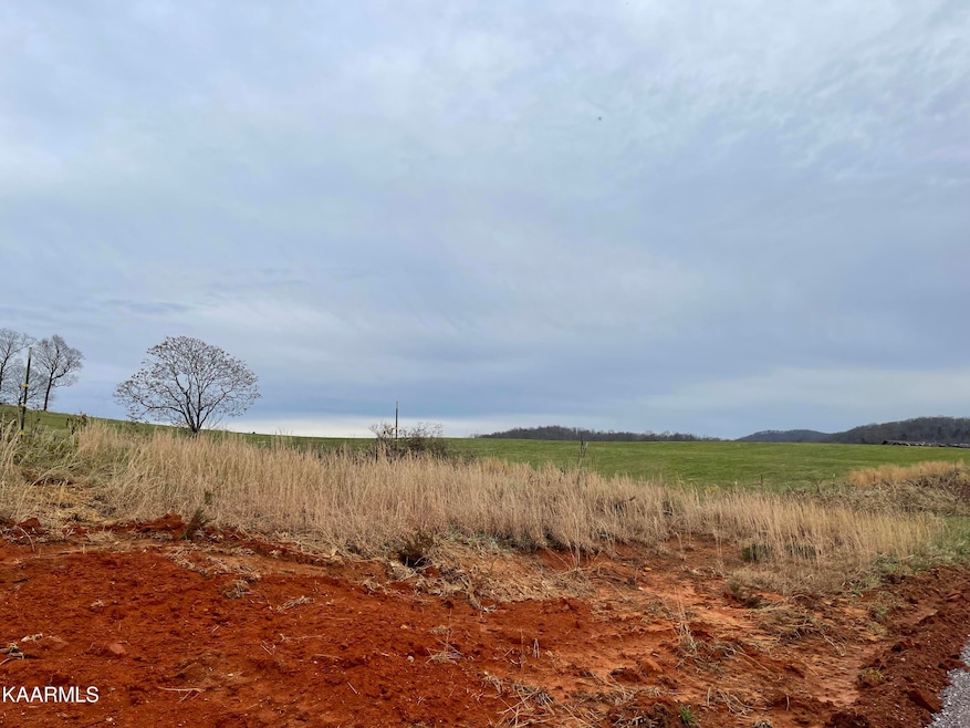 Lot 11 Howell River Rd, Rutledge, TN 37861 - photo 1