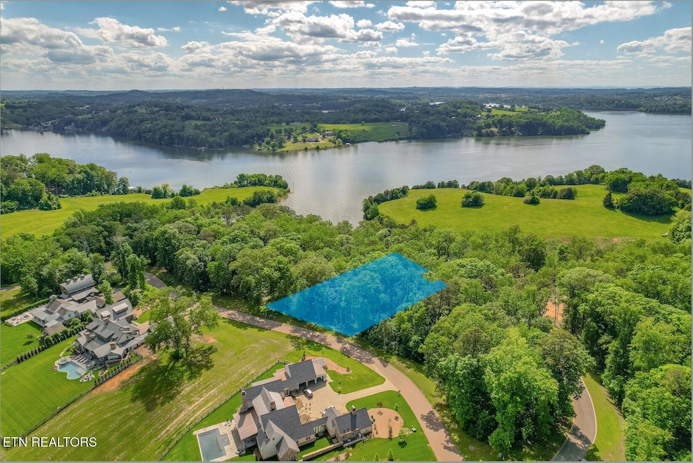 Arcadia Lot 247 aerial