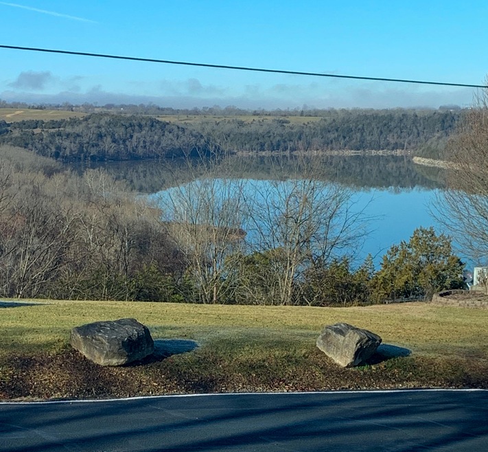 view from dining