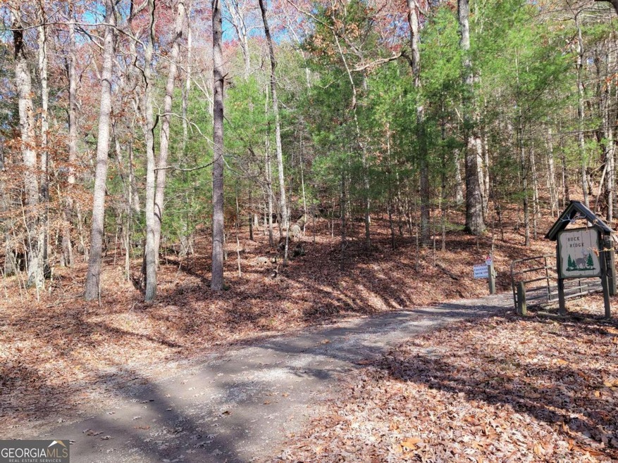 1 A. Buck Ridge Rd, Suches, GA 30572 - photo 1
