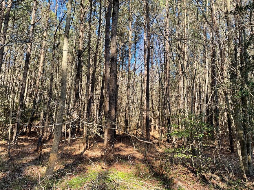 62 Signal Ct unit 62, Greenbackville, VA 23 - photo 1