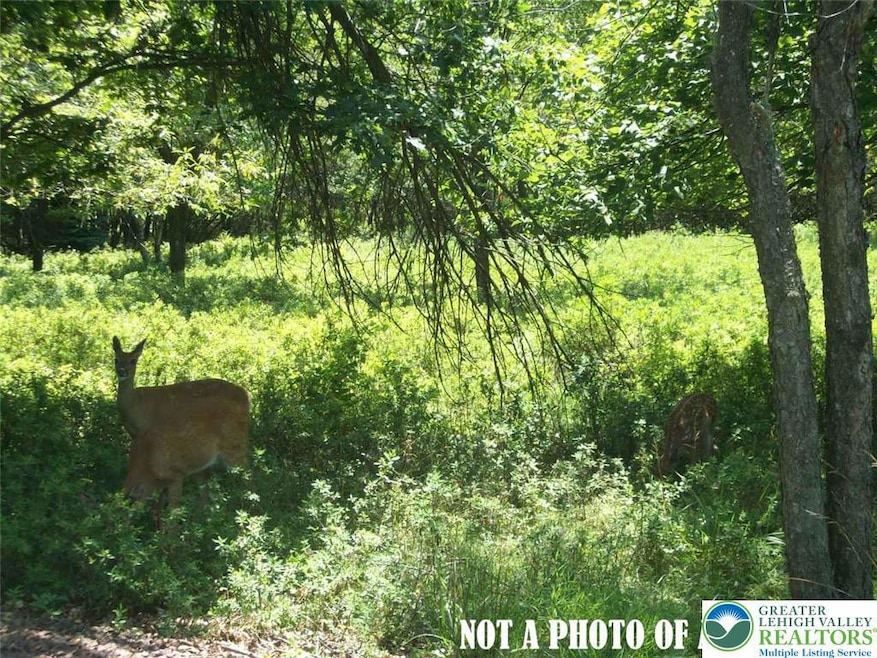 489 Redwood Dr, Jim Thorpe, PA 18229 - photo 1