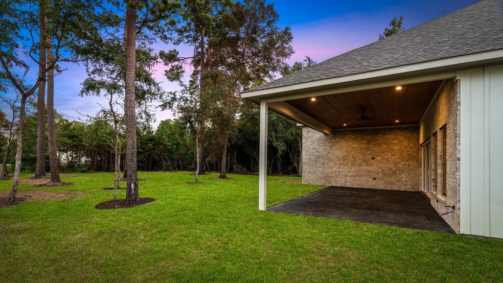 12102 S Tara Plantation Dr, Tomball, TX 77375 - photo 1