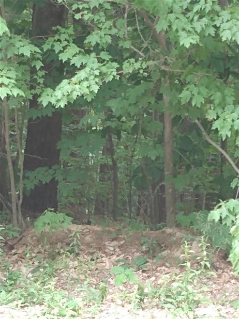 Lot 154-9 Edward Dr, Wakefield, NH 03872 - photo 1