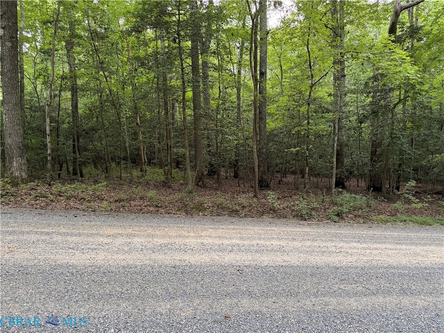 TBD Lonesome Pine Trail, Lancaster, VA 22503 - photo 1