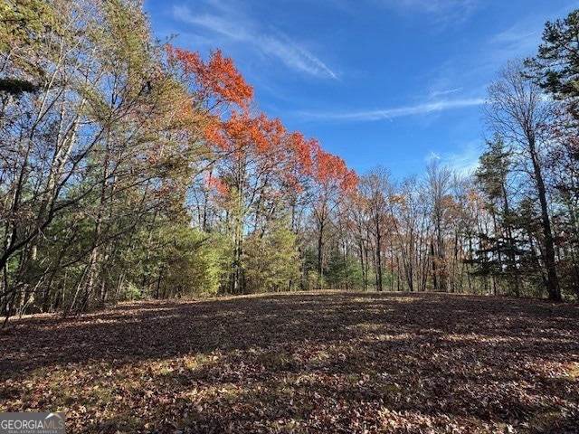 0 John Call Rd, Ellijay, GA 30536 - photo 1