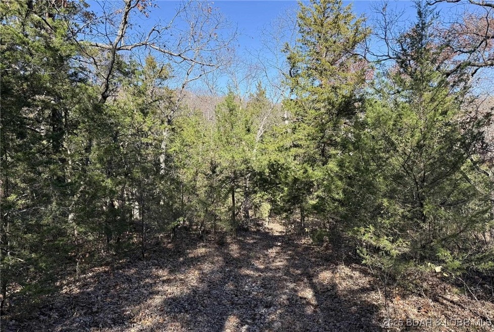 11.8 Acres Whitetail Way, Cole Township, MO 65338 - photo 1
