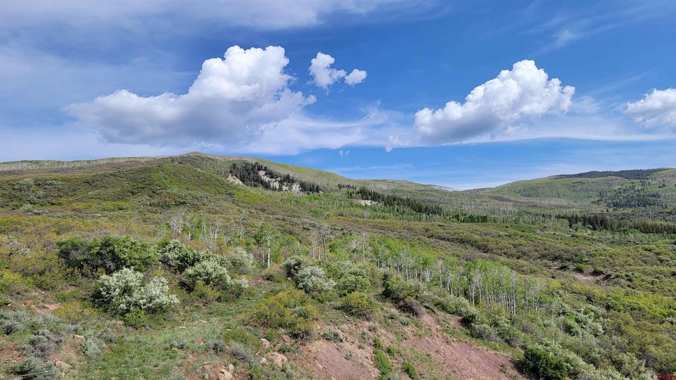 TBD W Elk View, Cedaredge, CO 81413 - photo 1