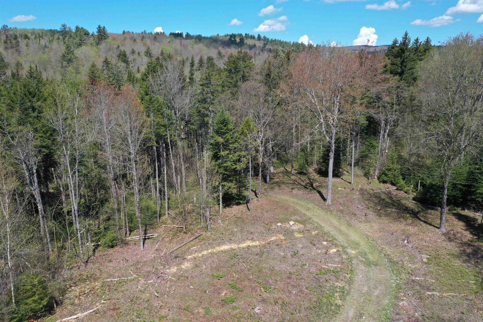 2137 Nh Route 118, Dorchester, NH 03266 - photo 1