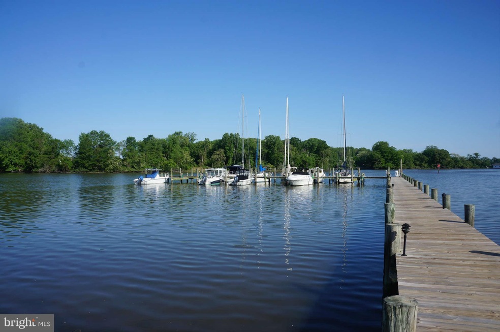 210 Harbor Ln, Queenstown, MD 21658 - photo 1