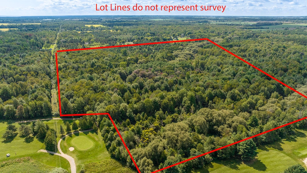 0 Custer Rd LOT LINES 1