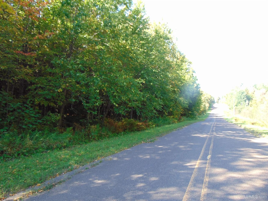 TBD 1 Moore Rd, Bessemer, MI 49911 - photo 1