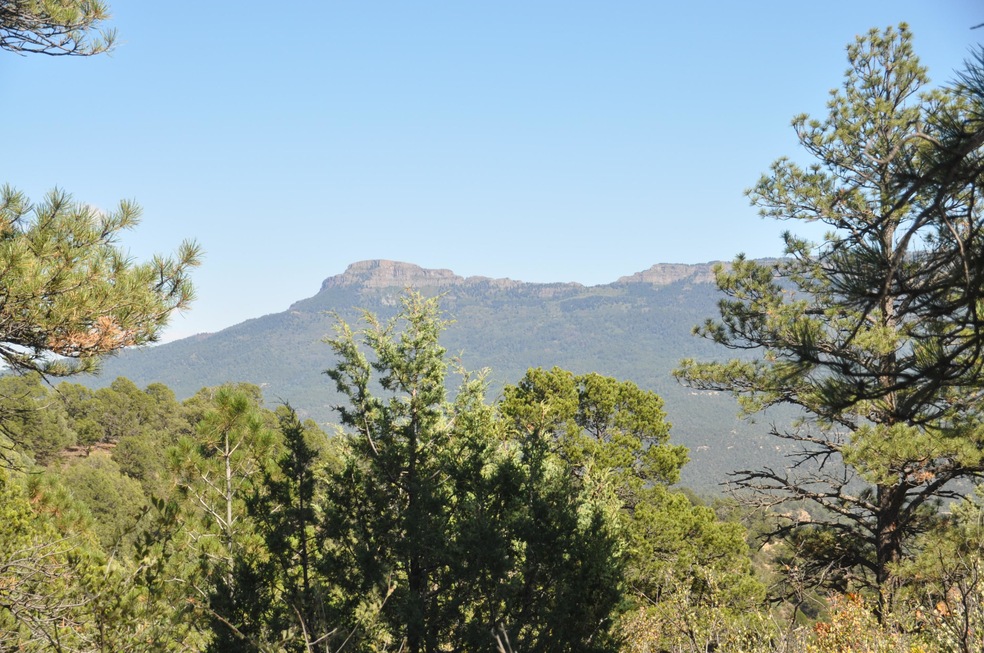 0 4230 Chipmunk Dr unit B70 16-642, Trinidad, CO - photo 1