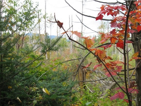 00 Titus Hill Rd, Colebrook, NH 03576 - photo 1