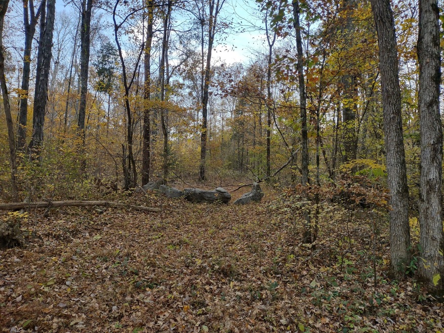 0 Milltown Rd unit RTC2453689, Lewisburg, TN 37091 - photo 1