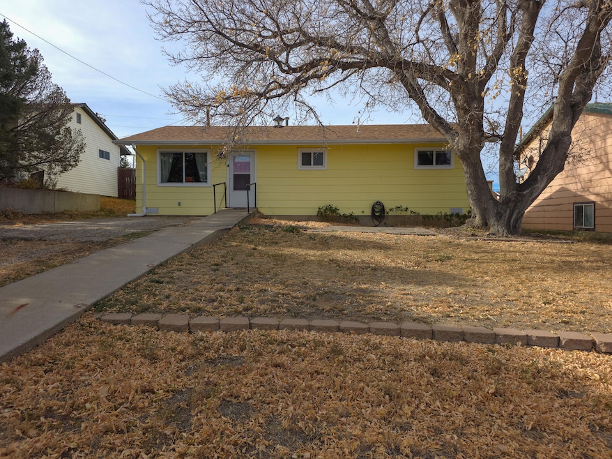 107 Stout Ave, Walsenburg, CO 81089 - photo 1