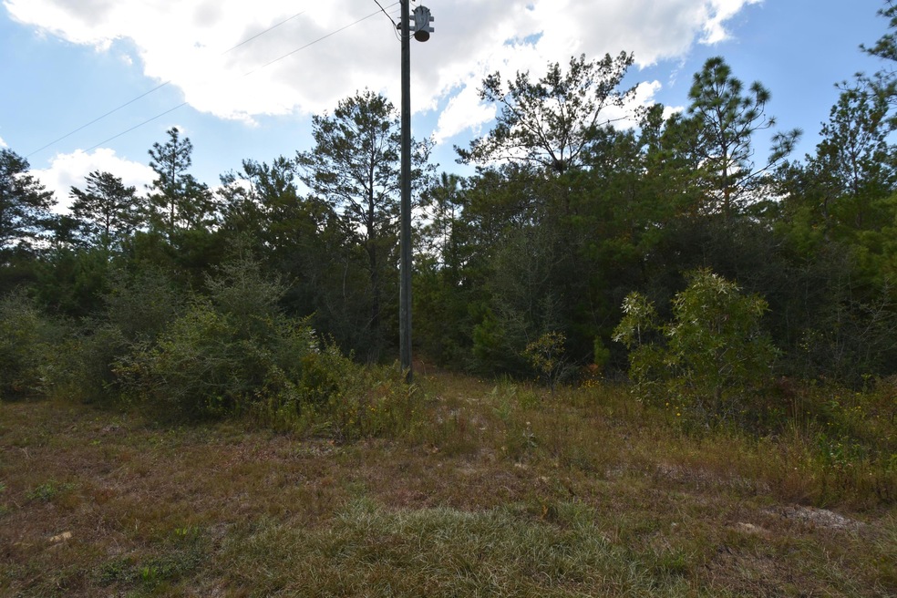 3rd Avenue Lots 01