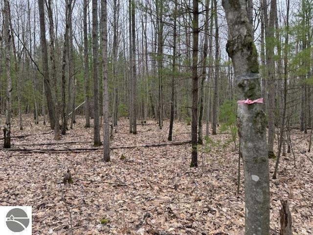 VL W Gaukel Rd, Forest Township, MI 49651 - photo 1