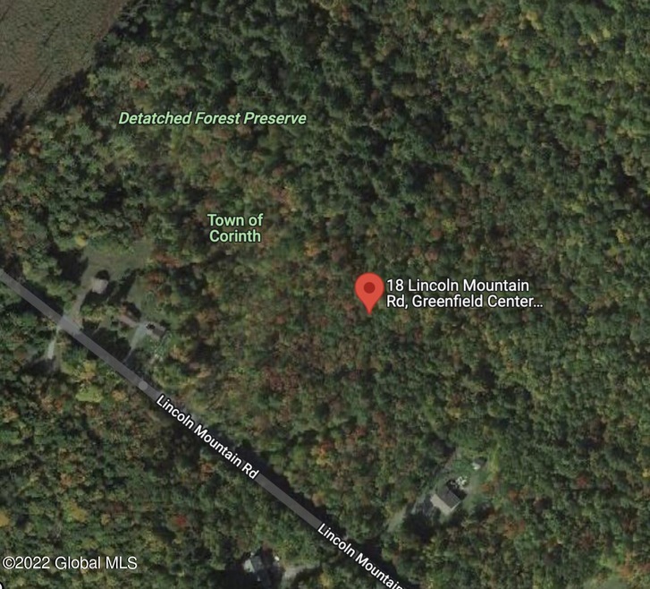18 Lincoln Mountain Rd Rd, Greenfield, NY 12833 - photo 1