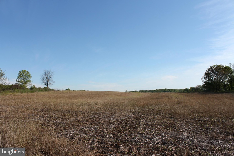 0 Not On File unit 1002424084, Berryville, VA 22611 - photo 1