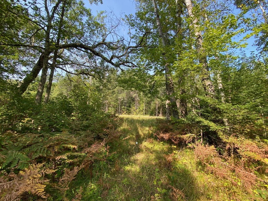 Sold $27,000 • Co-Listing Agent