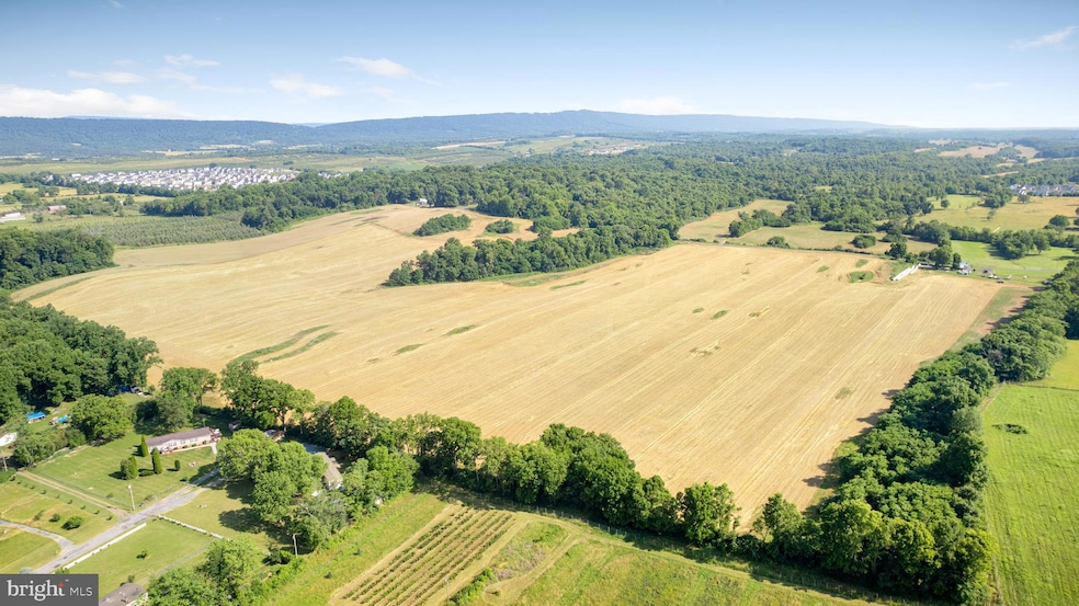 0 Mish Rd, Bunker Hill, WV - photo 1