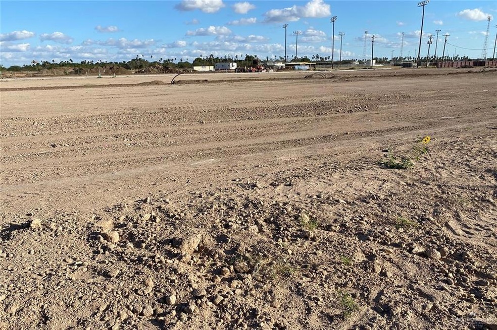 LOT 51 Pine Oak Ave, Donna, TX 78537 - photo 1