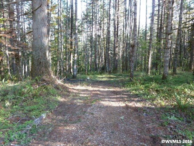 24293 Columbine Dr, Philomath, OR 97370 - photo 1