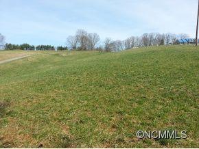 396 Browntown Rd, Leicester, NC 28748 - photo 1