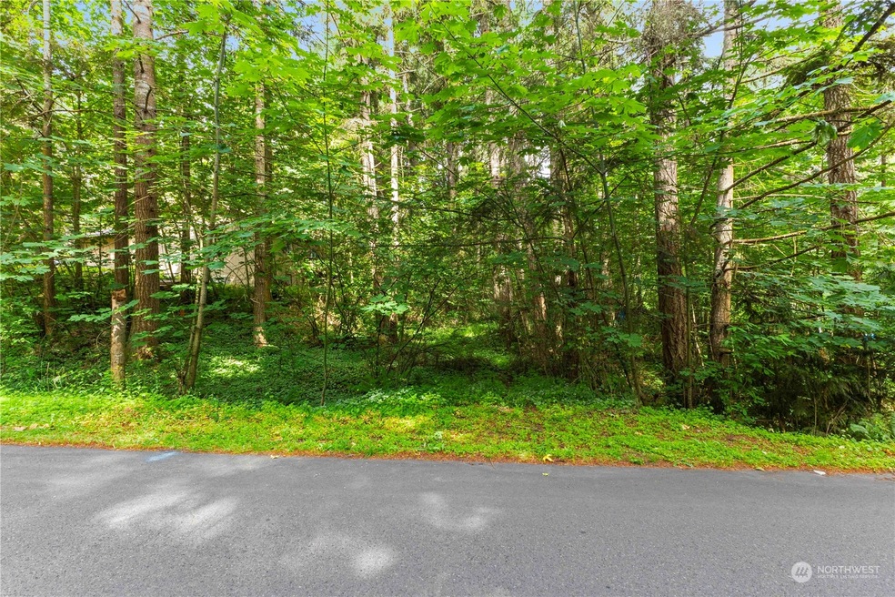 17937 Clear Lake Blvd SE, Yelm, WA 98597 - photo 1