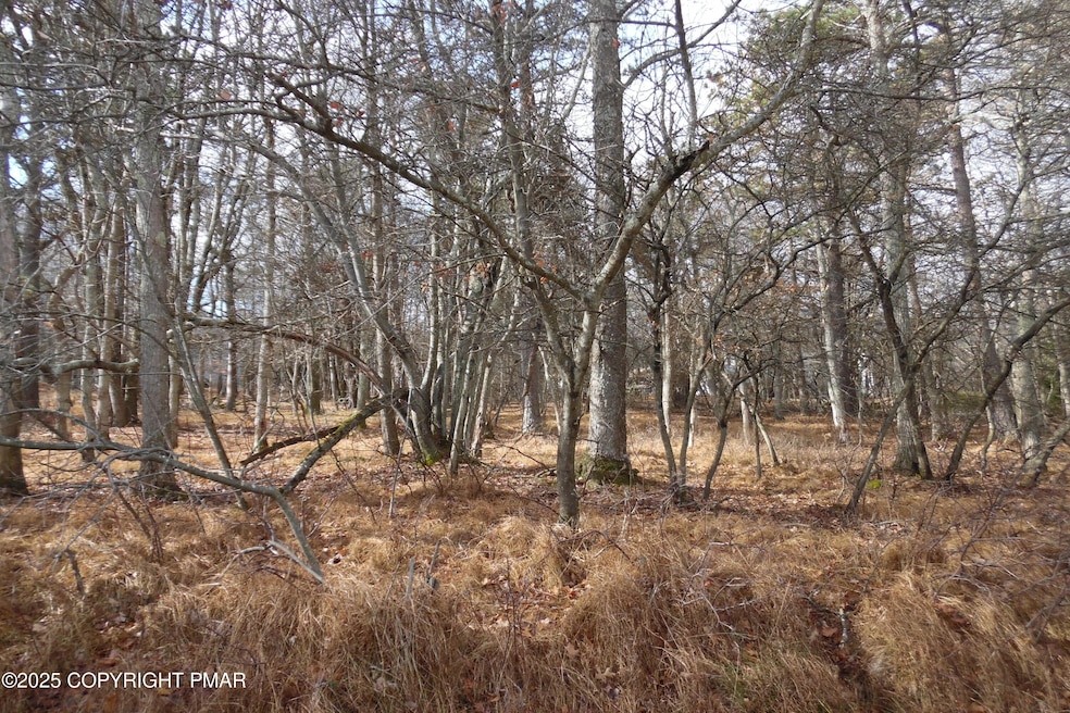 D1922 S Old Stage Rd, Penn Forest Township, PA 18210 - photo 1