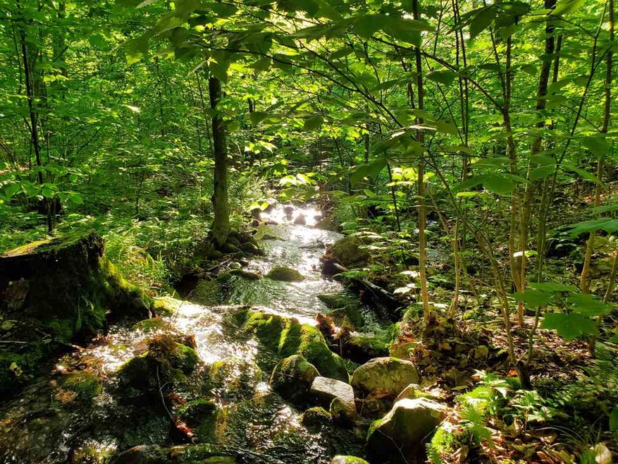 7 Pike Hill Rd, Hebron, NH 03241 - photo 1