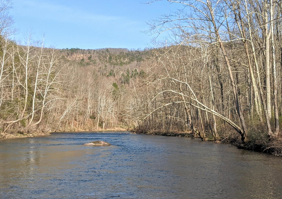 Jackson River from lot