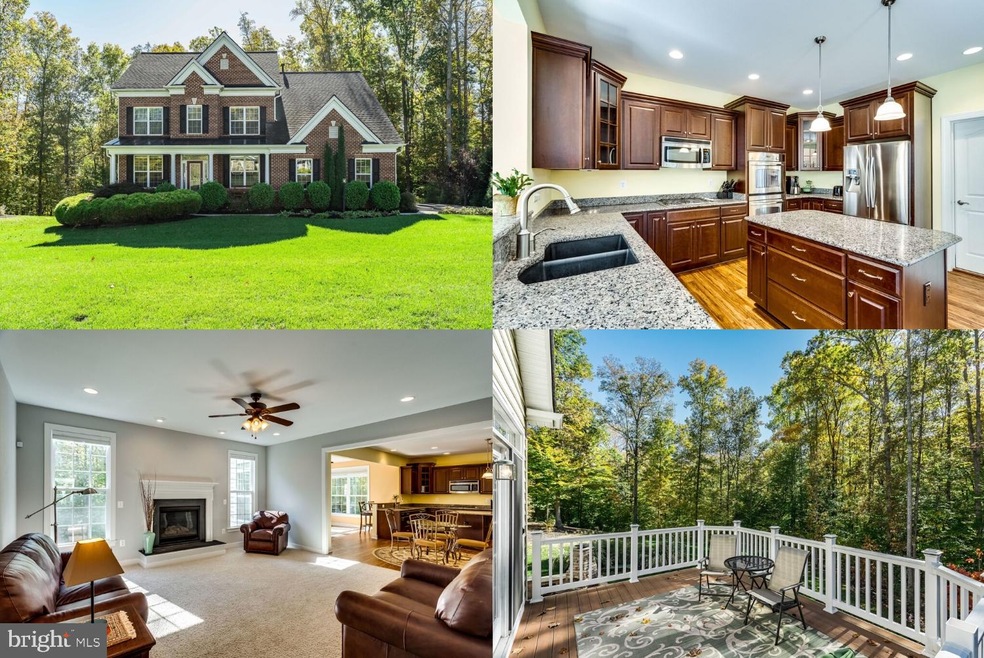 46 Maidenhair Way, Stafford, VA 22556 - photo 1