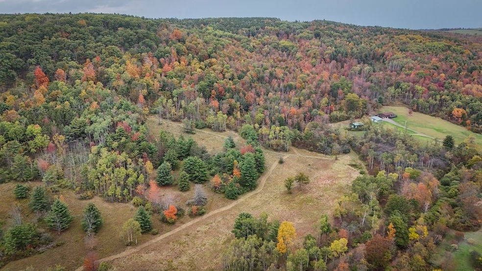 1918 Chambers Rd, Beaver Dams, NY 14812 - photo 1