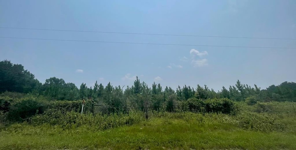 000 Doe Hill Rd, Poulan, GA 31781 - photo 1