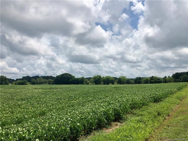 000 Mcmanus Rd, Midland, NC 28107 - photo 1