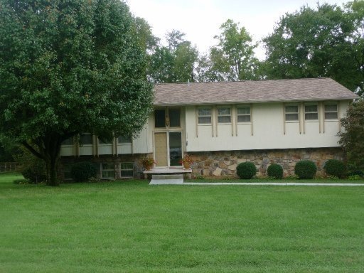 Primary Photo