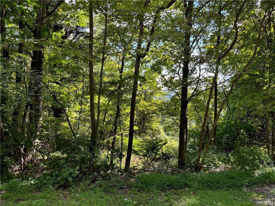 0 68 & 70 Evergreen Dr unit 701184, Schuylkill, PA 18252 - photo 1