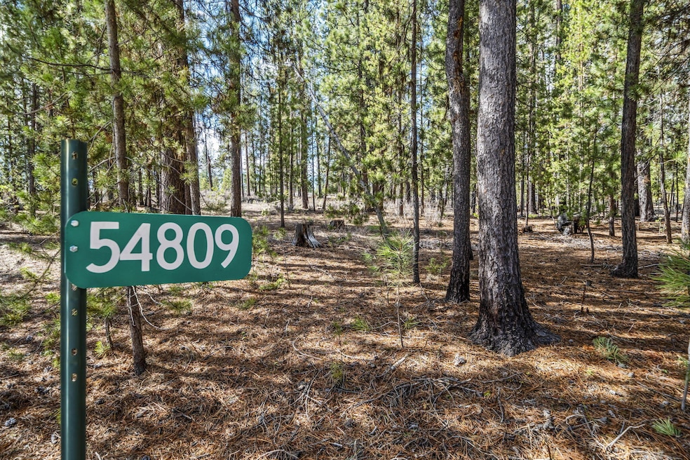 1-web-or-mls-54809 Mountain View Rd (6 o