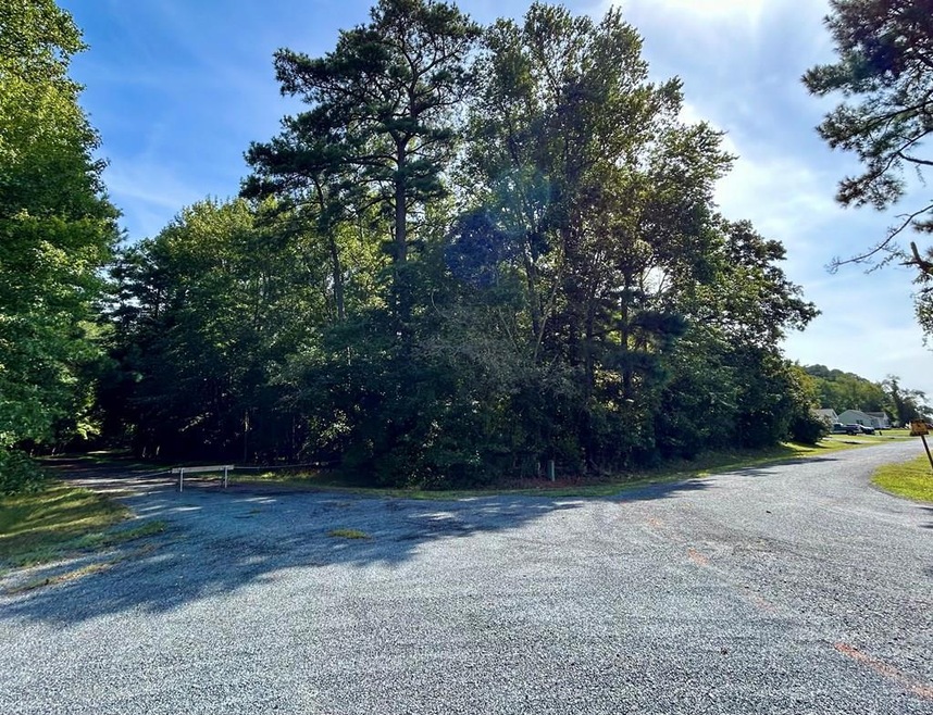 Lot 128 Octopus Rd unit 128, Greenbackville, VA 23356 - photo 1