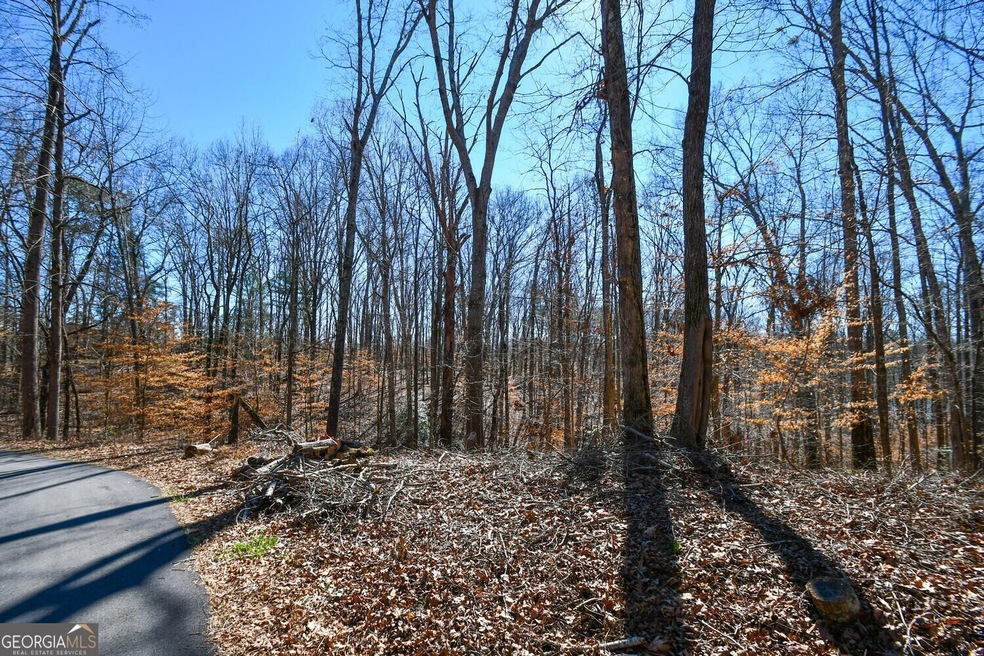 4841 Destitute Way, Gainesville, GA 30506 - photo 1